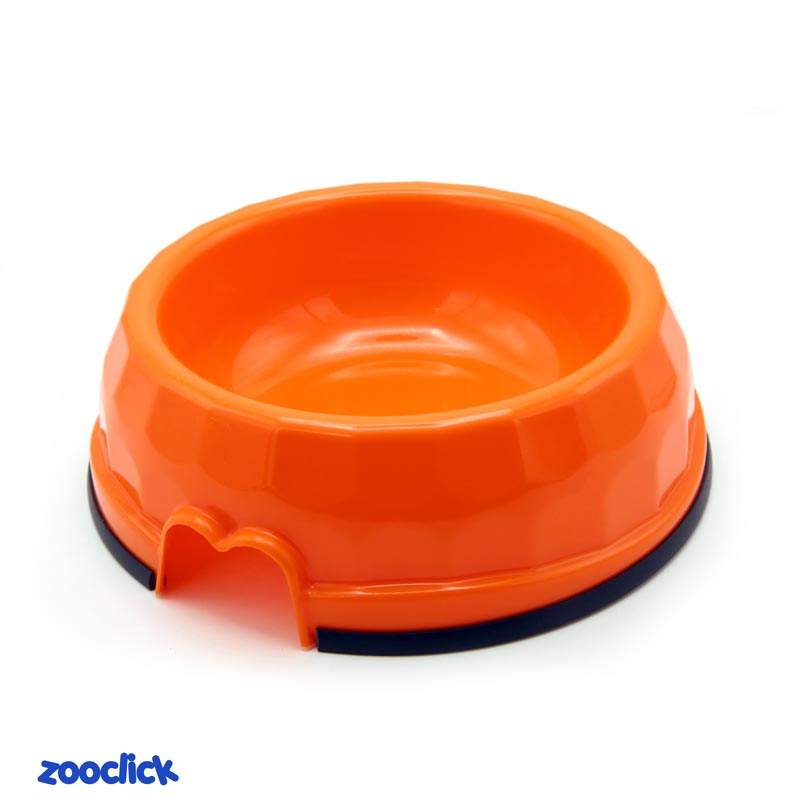 water and food container for dogs and cats