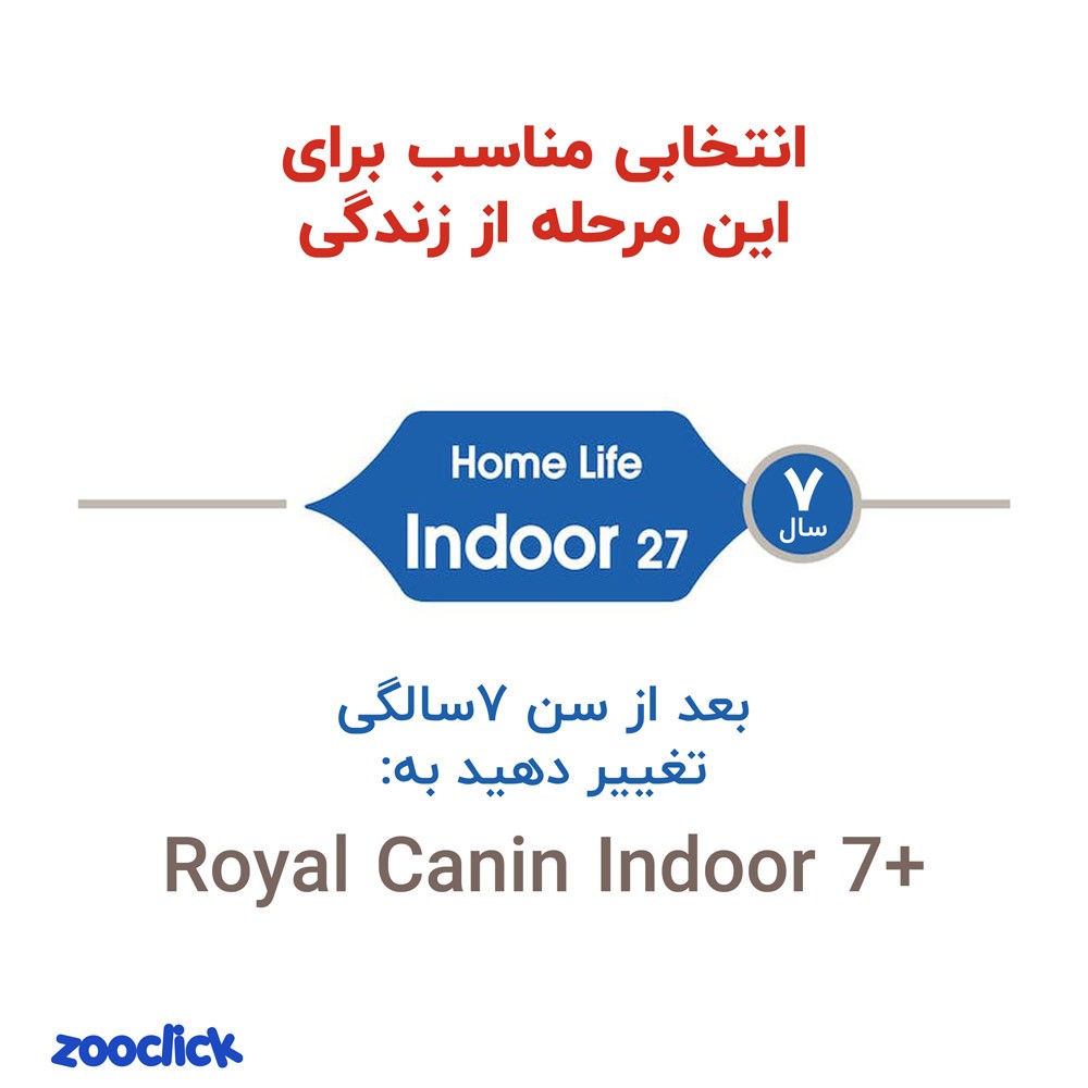 royal canin indoor 27