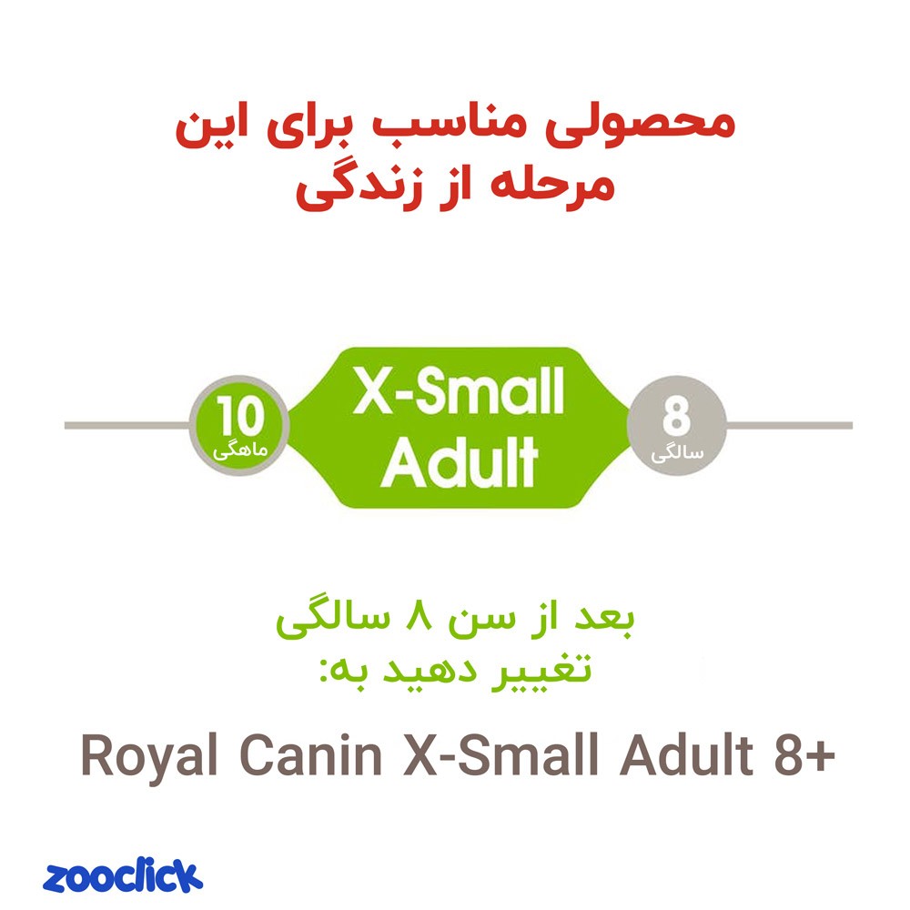 royal canin x small adult