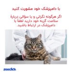 royal canin oral care