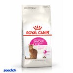royal canin savour exigent غذای خشک گربه بد غذا و حساس به مزه رویال کنین