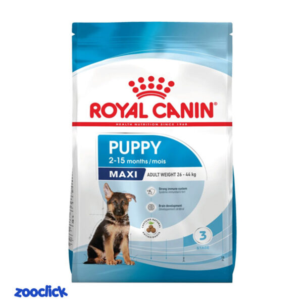 royal canin maxi puppy غذای خشک توله سگ مکسی پاپی رویال کنین