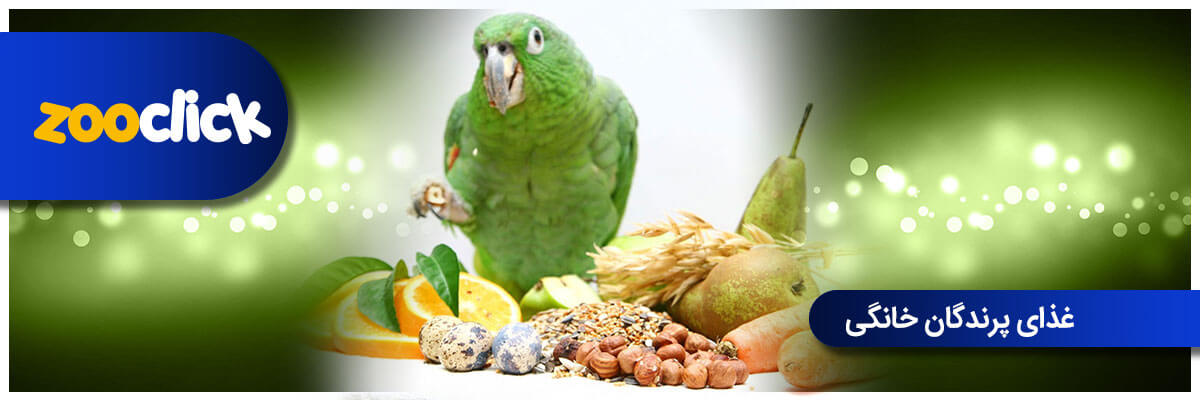 غذای پرندگان خانگی