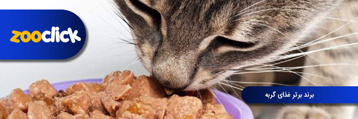برند برتر غذای گربه 