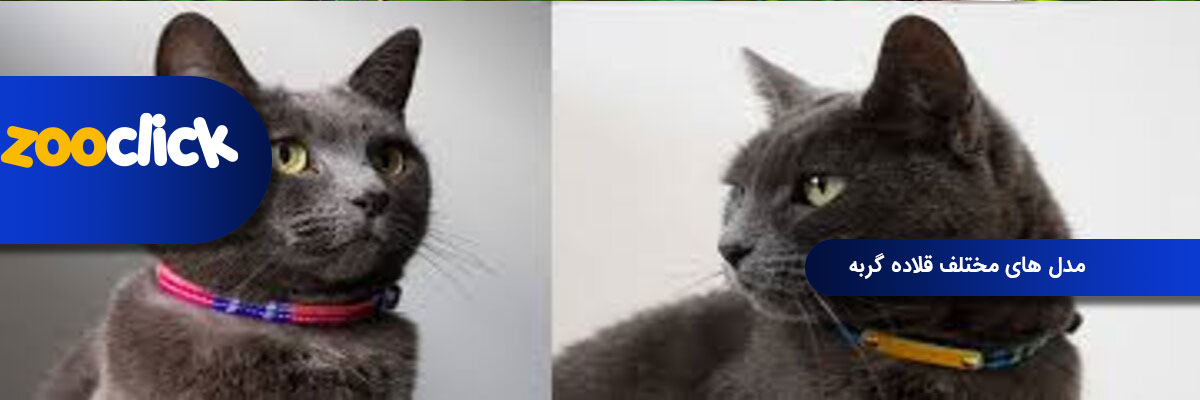 مدل های مختلف قلاده گربه
