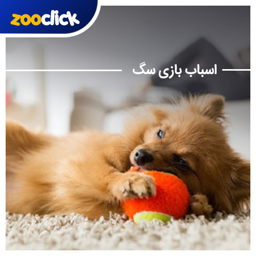 اسباب بازی سگ