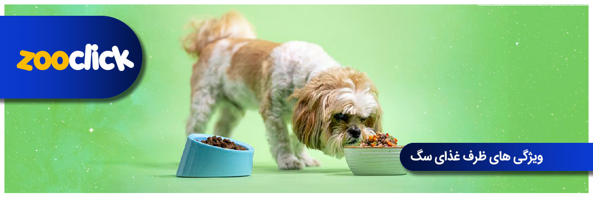 ویژگی های ظرف غذای سگ