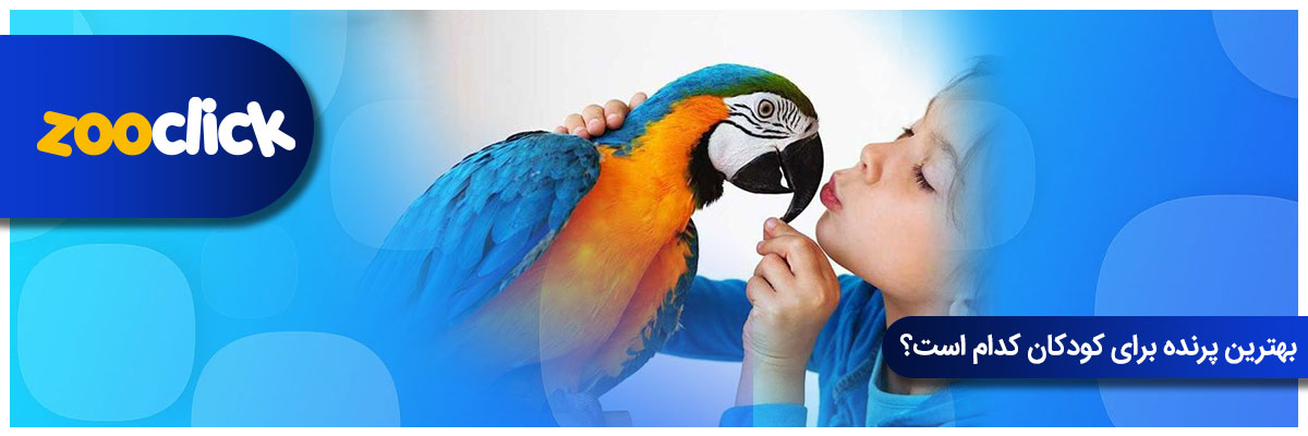 کدام نوع پرنده برای کودکان بهتر است؟