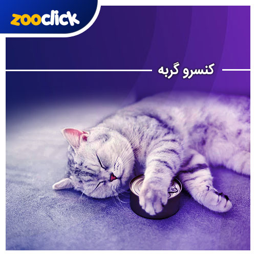کنسرو گربه