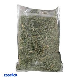 rodent alfalfa یونجه جوندگان